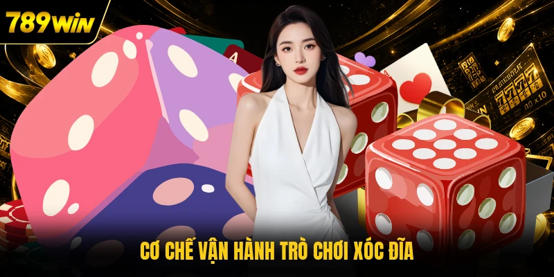 Cơ chế vận hành trò chơi Xóc Đĩa