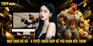 Mẹo Chơi Đá Gà