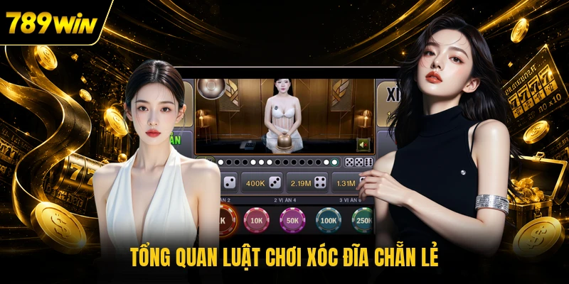 Tổng quan luật chơi Xóc Đĩa chẵn lẻ